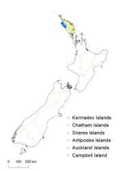Veronica perbella distribution map based on databased records at AK, CHR & WELT.
 Image: K.Boardman © Landcare Research 2022 CC-BY 4.0